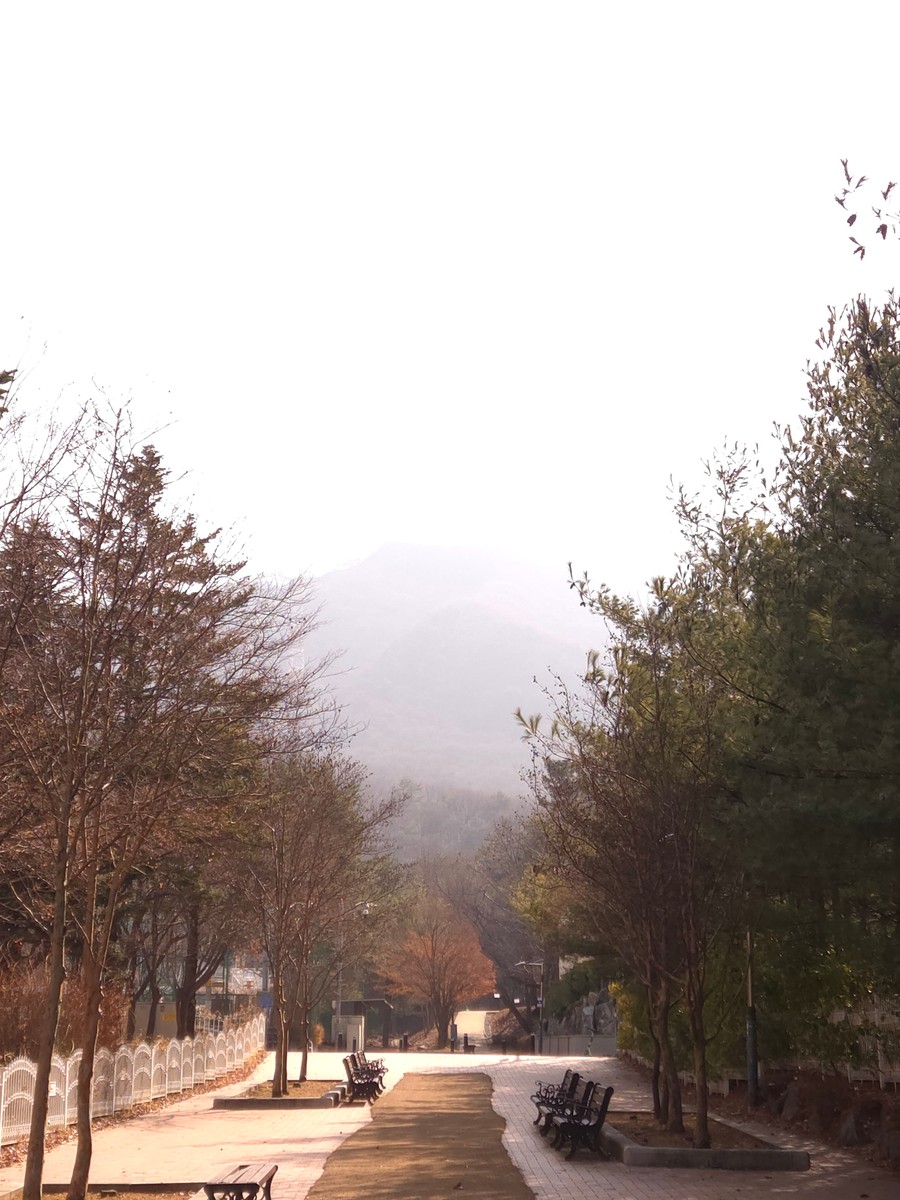 gardenstone의 사진 작품