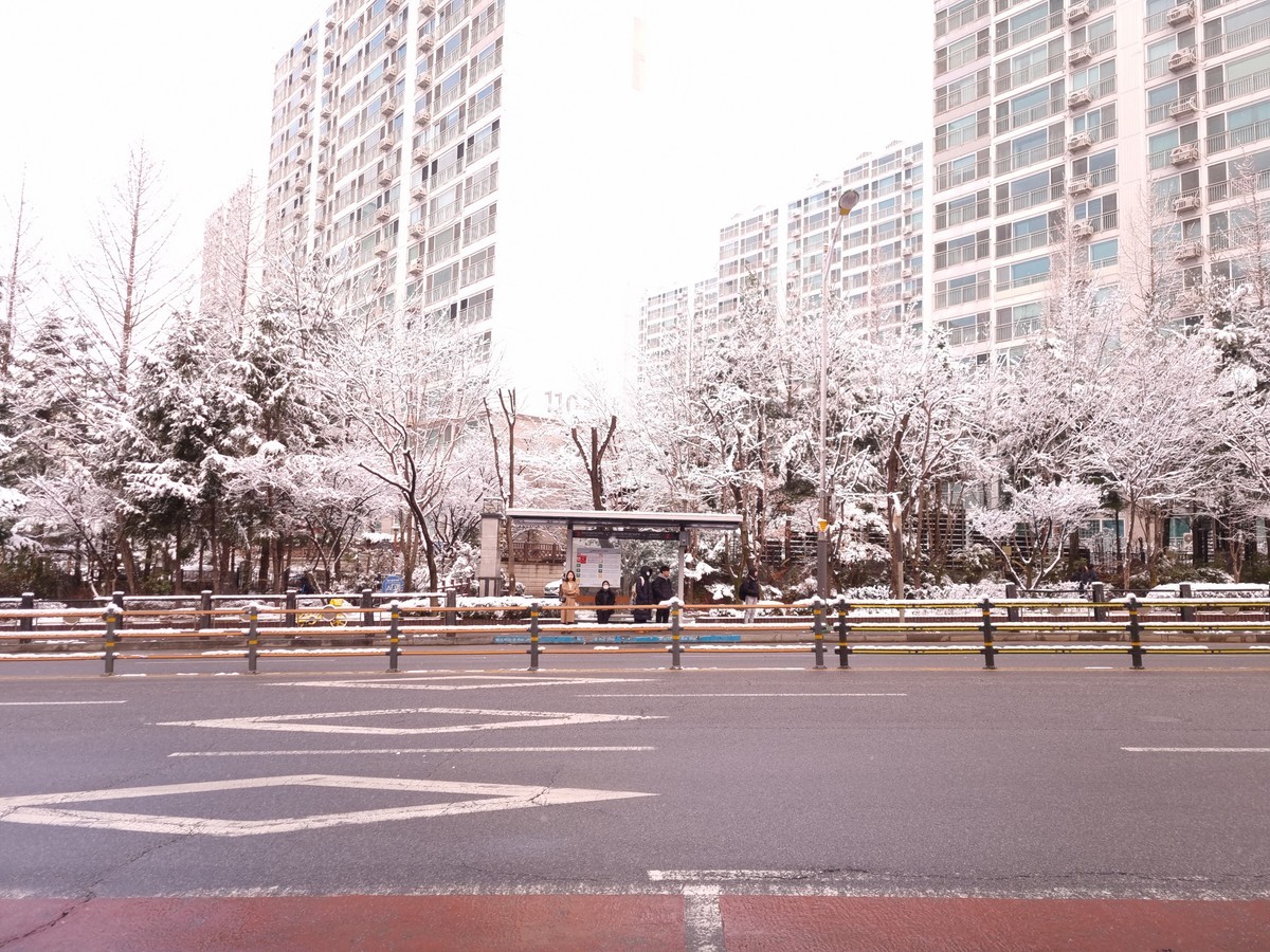 gardenstone의 사진 작품